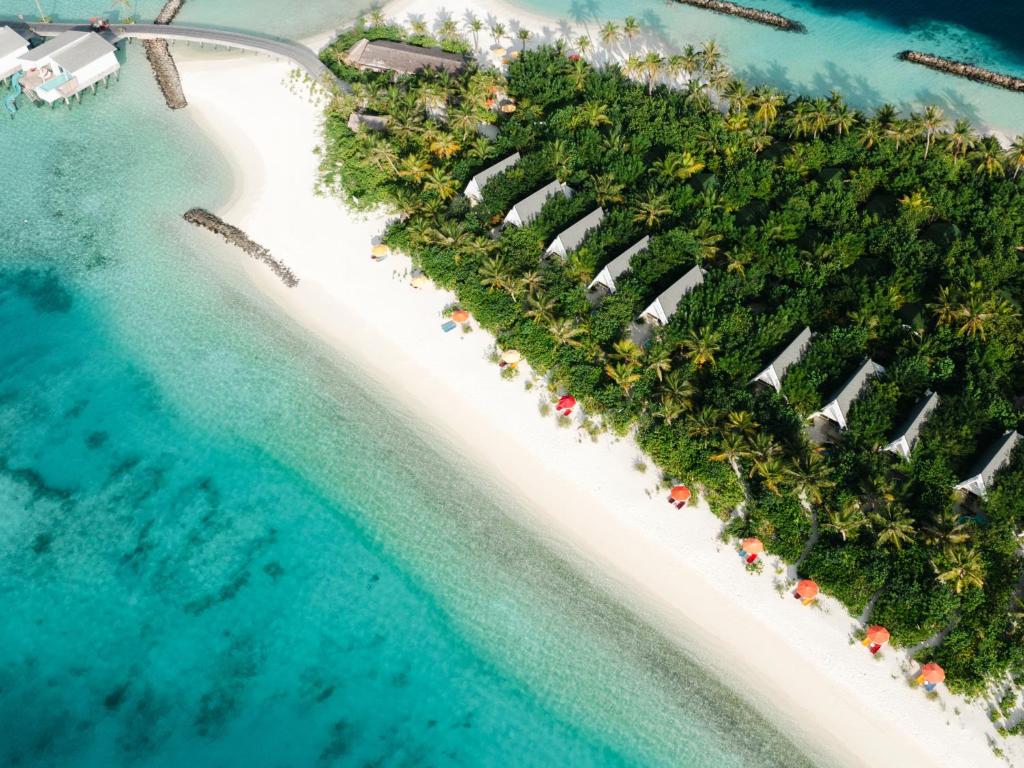 07 NIghts Holiday at Oaga Art Resort Maldives with Veyoge Gallery Pool Villa