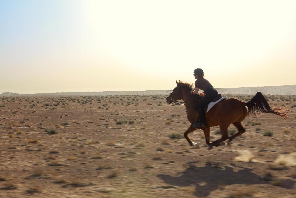 5 Nights holiday at Atlantis the Palm & Al Maha, a Luxury Collection Desert Resort & Spa with Full board