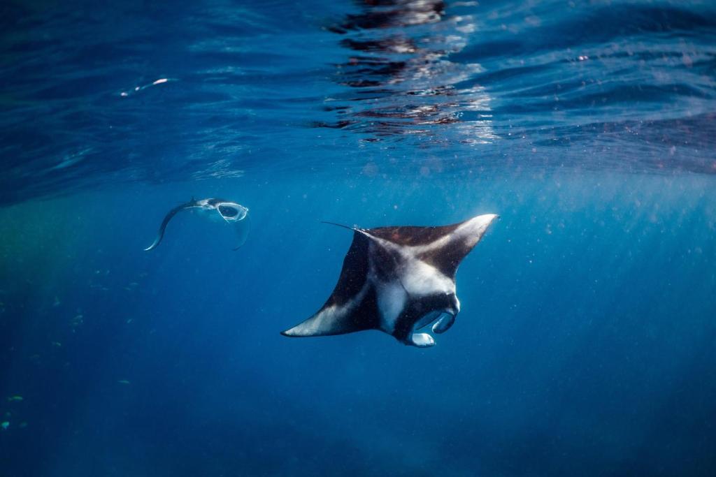 09 Nights All-Inclusive Nova Maldives || Water Villa