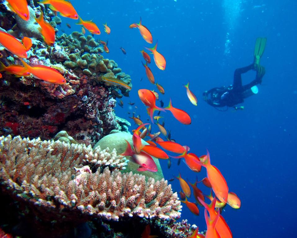 THE ULTIMATE MALDIVES FAMILY HOLIDAY 7 Nights in 5★ Kandima Maldives FROM ONLY £5,799 PER FAMILY