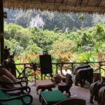 09 Nights Luxurious Stay in Khao Lak and Heart-Warming Elephant Encounters in Elephant Hills with flight & transfers