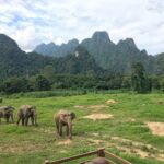 09 Nights Luxurious Stay in Khao Lak and Heart-Warming Elephant Encounters in Elephant Hills with flight & transfers