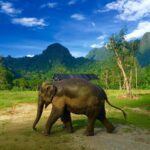 09 Nights Luxurious Stay in Khao Lak and Heart-Warming Elephant Encounters in Elephant Hills with flight & transfers