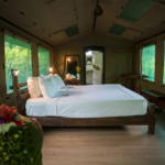 09 Nights Luxurious Stay in Khao Lak and Heart-Warming Elephant Encounters in Elephant Hills with flight & transfers