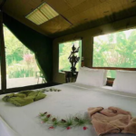 09 Nights Luxurious Stay in Khao Lak and Heart-Warming Elephant Encounters in Elephant Hills with flight & transfers