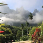 09 Nights Luxurious Stay in Khao Lak and Heart-Warming Elephant Encounters in Elephant Hills with flight & transfers