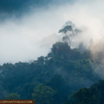 09 Nights Luxurious Stay in Khao Lak and Heart-Warming Elephant Encounters in Elephant Hills with flight & transfers