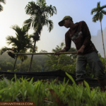 09 Nights Luxurious Stay in Khao Lak and Heart-Warming Elephant Encounters in Elephant Hills with flight & transfers