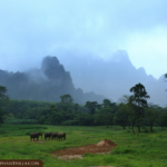 09 Nights Luxurious Stay in Khao Lak and Heart-Warming Elephant Encounters in Elephant Hills with flight & transfers