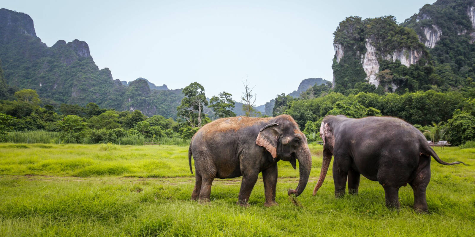 14 nights ultimate Thai adventure PHUKET • ELEPHANT HILLS KHAO SOK • KRABI price starting FROM £1,299pp