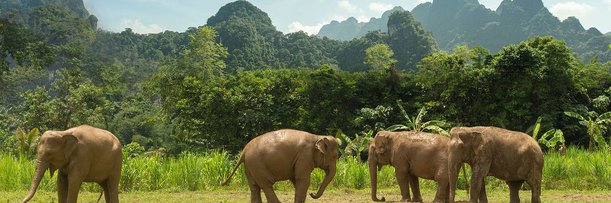 “10 Nights of Thai Relaxation and Rejuvenation: Phuket, Khao SOK and Khao Lak”