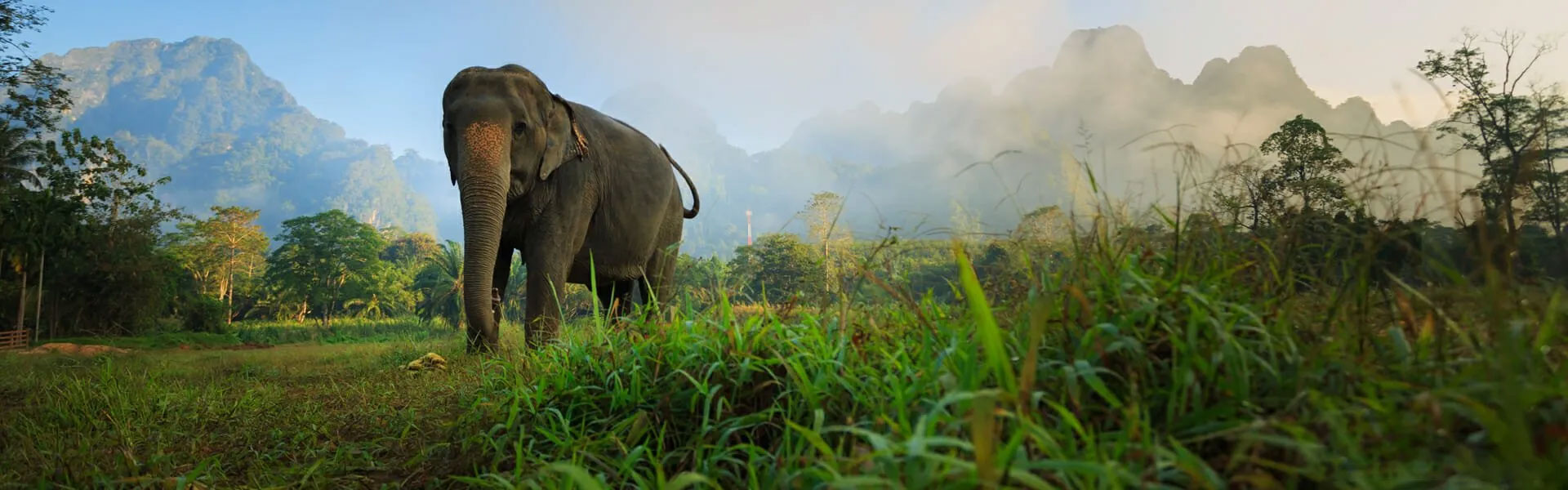 12 Nights Holiday at X10 Khao Lak, Sea Seeker Krabi & ELEPHANT Hills with Breakfast